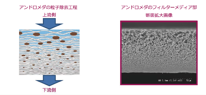 アンドロメダプラス2